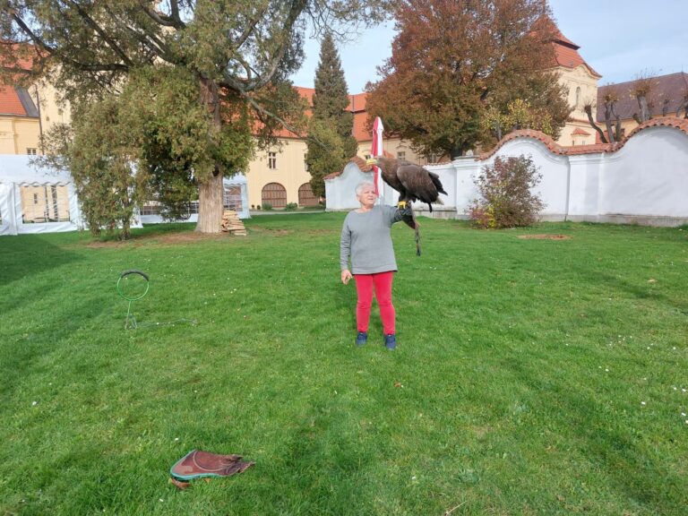 Čchi kung a meditace – Orel v hnízdě